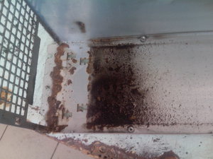 IMG_20160907_125532.jpg (2718 просмотров) <a class='original' href='./download/file.php?id=89506&mode=view' target=_blank>Загрузить оригинал (1.71 МБ)</a>