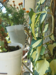 20160908_135959.jpg (2264 просмотра) <a class='original' href='./download/file.php?id=89599&mode=view' target=_blank>Загрузить оригинал (2.69 МБ)</a>