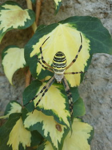 20160908_140156.jpg (2264 просмотра) <a class='original' href='./download/file.php?id=89600&mode=view' target=_blank>Загрузить оригинал (2.65 МБ)</a>