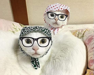 image.jpg (2323 просмотра) <a class='original' href='./download/file.php?id=89611&mode=view' target=_blank>Загрузить оригинал (49.63 КБ)</a>