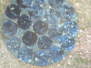 Изображение 020.jpg (3892 просмотра) <a class='original' href='./download/file.php?id=8979&mode=view' target=_blank>Загрузить оригинал (46.9 КБ)</a>