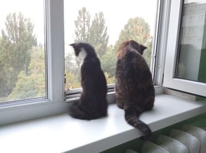 P60912-063433[1].jpg (2882 просмотра) <a class='original' href='./download/file.php?id=90240&mode=view' target=_blank>Загрузить оригинал (3.26 МБ)</a>