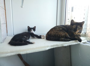 P60914-100839[1].jpg (2882 просмотра) <a class='original' href='./download/file.php?id=90241&mode=view' target=_blank>Загрузить оригинал (2.85 МБ)</a>