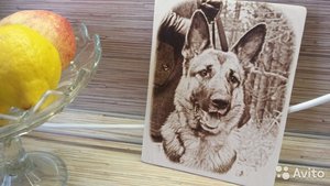 C__Data_Users_DefApps_AppData_INTERNETEXPLORER_Temp_Saved Images_2814844264.jpg (2605 просмотров) <a class='original' href='./download/file.php?id=90432&mode=view' target=_blank>Загрузить оригинал (74.7 КБ)</a>