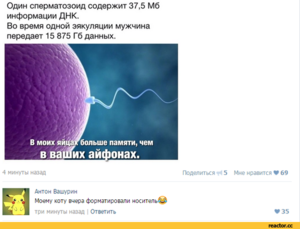 коты.png (2797 просмотров) <a class='original' href='./download/file.php?id=90898&mode=view' target=_blank>Загрузить оригинал (220.45 КБ)</a>