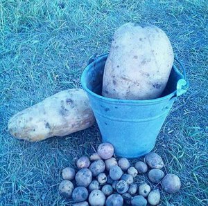 image-0-02-01-506af4af0053dea616734207bf9f5769e7bb74ee9ded7ac45ca882483e79d14c-V.jpg (2208 просмотров) <a class='original' href='./download/file.php?id=90933&mode=view' target=_blank>Загрузить оригинал (443.15 КБ)</a>