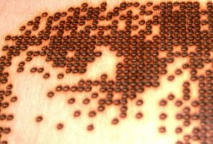 ptp00000.jpg (65128 просмотров) <a class='original' href='./download/file.php?id=910&mode=view' target=_blank>Загрузить оригинал (34.53 КБ)</a>