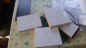 20160625_090228.jpg (2923 просмотра) <a class='original' href='./download/file.php?id=91108&sid=3d6031f4b8cb1b618379c8e8ed61c44a&mode=view' target=_blank>Загрузить оригинал (1.5 МБ)</a>