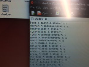 IMG_0052.JPG (10227 просмотров) <a class='original' href='./download/file.php?id=91528&mode=view' target=_blank>Загрузить оригинал (3 МБ)</a>