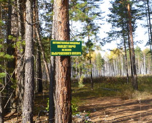 P1060339_cr.jpg (2904 просмотра) <a class='original' href='./download/file.php?id=91801&mode=view' target=_blank>Загрузить оригинал (1.62 МБ)</a>