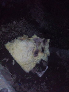 IMG_20161003_223616.jpg (4602 просмотра) <a class='original' href='./download/file.php?id=91944&mode=view' target=_blank>Загрузить оригинал (1.28 МБ)</a>