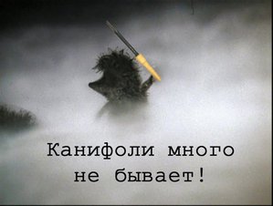 35164a60b4b2698210104ff4189f7199.jpeg (2516 просмотров) <a class='original' href='./download/file.php?id=91956&mode=view' target=_blank>Загрузить оригинал (44.03 КБ)</a>