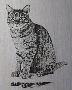 Вся картинка (3922 просмотра) <a class='original' href='./download/file.php?id=92030&mode=view' target=_blank>Загрузить оригинал (226.46 КБ)</a>