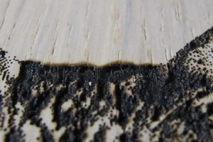 Между ушей (3922 просмотра) <a class='original' href='./download/file.php?id=92031&mode=view' target=_blank>Загрузить оригинал (88.34 КБ)</a>