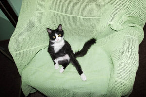 _DSC5466.jpg (2761 просмотр) <a class='original' href='./download/file.php?id=92095&mode=view' target=_blank>Загрузить оригинал (316.88 КБ)</a>