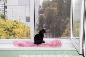 _DSC5472.jpg (2761 просмотр) <a class='original' href='./download/file.php?id=92097&mode=view' target=_blank>Загрузить оригинал (163.02 КБ)</a>