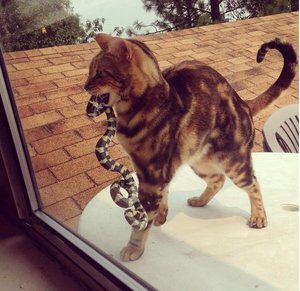 фпустите.jpg (2504 просмотра) <a class='original' href='./download/file.php?id=92393&mode=view' target=_blank>Загрузить оригинал (74.54 КБ)</a>