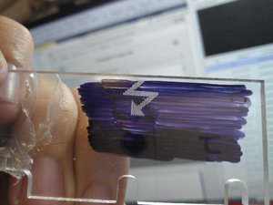 WP_001665.jpg (3008 просмотров) <a class='original' href='./download/file.php?id=92772&mode=view' target=_blank>Загрузить оригинал (714.05 КБ)</a>