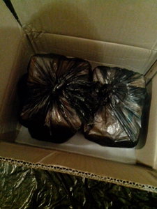 упаковка (1324 просмотра) <a class='original' href='./download/file.php?id=93068&mode=view' target=_blank>Загрузить оригинал (495.9 КБ)</a>