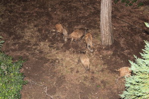 IMG_7545.JPG (4122 просмотра) <a class='original' href='./download/file.php?id=93387&mode=view' target=_blank>Загрузить оригинал (9.62 МБ)</a>