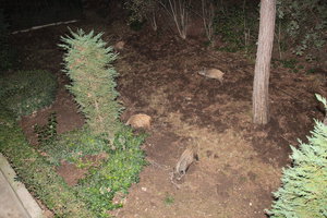 IMG_7542.JPG (4122 просмотра) <a class='original' href='./download/file.php?id=93388&mode=view' target=_blank>Загрузить оригинал (11.7 МБ)</a>