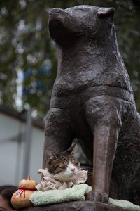 14889771_10211489751185303_7825352657516566316_o.jpg (2129 просмотров) <a class='original' href='./download/file.php?id=93833&mode=view' target=_blank>Загрузить оригинал (80.76 КБ)</a>