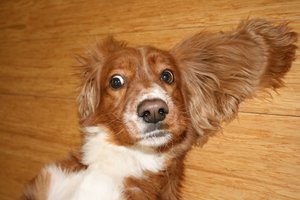 гэня.jpg (5174 просмотра) <a class='original' href='./download/file.php?id=95788&mode=view' target=_blank>Загрузить оригинал (270.29 КБ)</a>