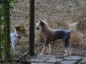 hi.jpg (5116 просмотров) <a class='original' href='./download/file.php?id=95934&mode=view' target=_blank>Загрузить оригинал (279.05 КБ)</a>