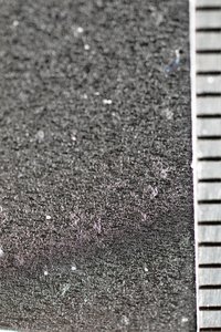 PS8A0297.JPG (3352 просмотра) <a class='original' href='./download/file.php?id=96013&mode=view' target=_blank>Загрузить оригинал (7.21 МБ)</a>