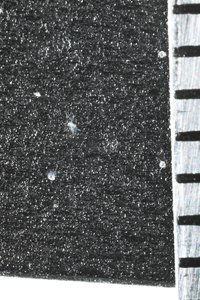 PS8A0308.JPG (3352 просмотра) <a class='original' href='./download/file.php?id=96015&mode=view' target=_blank>Загрузить оригинал (4.88 МБ)</a>