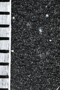 PS8A0310.JPG (3352 просмотра) <a class='original' href='./download/file.php?id=96016&mode=view' target=_blank>Загрузить оригинал (5.55 МБ)</a>