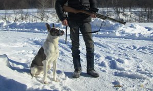 2016-02-11 (22).JPG (5068 просмотров) <a class='original' href='./download/file.php?id=96240&mode=view' target=_blank>Загрузить оригинал (905.89 КБ)</a>