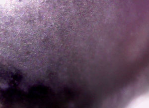 шарик_протравленный_x500.JPG (5714 просмотров) <a class='original' href='./download/file.php?id=96805&mode=view' target=_blank>Загрузить оригинал (134.09 КБ)</a>