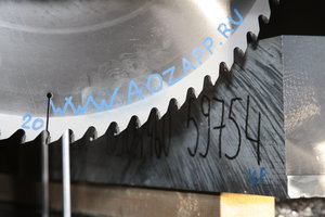 IMG_9786.JPG (1537 просмотров) <a class='original' href='./download/file.php?id=96844&mode=view' target=_blank>Загрузить оригинал (5.76 МБ)</a>