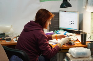 DSC00392.JPG (3594 просмотра) <a class='original' href='./download/file.php?id=97007&mode=view' target=_blank>Загрузить оригинал (736 КБ)</a>