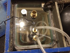 IMG_6620.JPG (2072 просмотра) <a class='original' href='./download/file.php?id=97283&mode=view' target=_blank>Загрузить оригинал (1.25 МБ)</a>