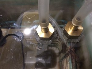 IMG_6623.JPG (2072 просмотра) <a class='original' href='./download/file.php?id=97285&mode=view' target=_blank>Загрузить оригинал (1.03 МБ)</a>