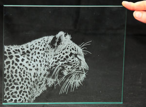 gl_1.jpg (6629 просмотров) <a class='original' href='./download/file.php?id=97358&mode=view' target=_blank>Загрузить оригинал (339.91 КБ)</a>