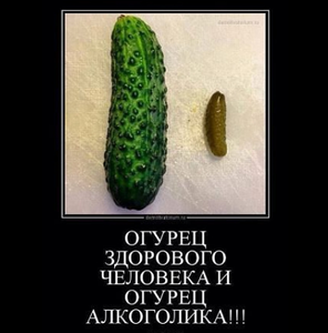 Огурец.png (3065 просмотров) <a class='original' href='./download/file.php?id=97677&mode=view' target=_blank>Загрузить оригинал (133.75 КБ)</a>