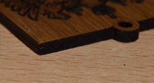 DSC_0888.JPG (2734 просмотра) <a class='original' href='./download/file.php?id=97795&mode=view' target=_blank>Загрузить оригинал (229.13 КБ)</a>