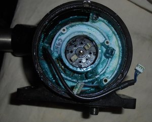 DSC04547 (Копировать).JPG (6195 просмотров) <a class='original' href='./download/file.php?id=97882&mode=view' target=_blank>Загрузить оригинал (277.59 КБ)</a>