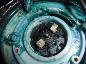 DSC04549 (Копировать).JPG (6199 просмотров) <a class='original' href='./download/file.php?id=97883&mode=view' target=_blank>Загрузить оригинал (347.42 КБ)</a>