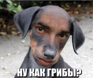 Screenshot - 25.12.2016 , 9_31_56.png (2397 просмотров) <a class='original' href='./download/file.php?id=98444&mode=view' target=_blank>Загрузить оригинал (355.47 КБ)</a>