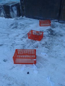 20161225_152703.jpg (2248 просмотров) <a class='original' href='./download/file.php?id=98462&mode=view' target=_blank>Загрузить оригинал (1.94 МБ)</a>