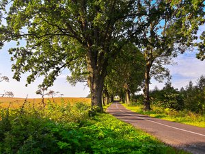 ZK_ZzdU89zE.jpg (3748 просмотров) <a class='original' href='./download/file.php?id=98605&mode=view' target=_blank>Загрузить оригинал (2.2 МБ)</a>