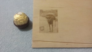 IMG_20170101_171805.jpg (11621 просмотр) <a class='original' href='./download/file.php?id=98972&mode=view' target=_blank>Загрузить оригинал (703.27 КБ)</a>