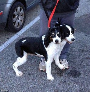 d27ba730c96ab2918410f2394e34156d.jpg (2166 просмотров) <a class='original' href='./download/file.php?id=99533&mode=view' target=_blank>Загрузить оригинал (134.99 КБ)</a>