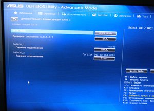 DSCN5463.JPG (2561 просмотр) <a class='original' href='./download/file.php?id=99588&mode=view' target=_blank>Загрузить оригинал (201.49 КБ)</a>