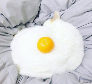 omelette.jpg (2574 просмотра) <a class='original' href='./download/file.php?id=99874&mode=view' target=_blank>Загрузить оригинал (106.29 КБ)</a>