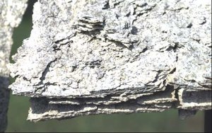 Вот примерно что из этого получается. (4814 просмотров) <a class='original' href='./download/file.php?id=99879&mode=view' target=_blank>Загрузить оригинал (57.96 КБ)</a>